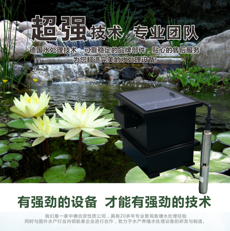 浙江别墅转鼓过滤水池、科图全自动内置式园林是陈路的系统谁图片