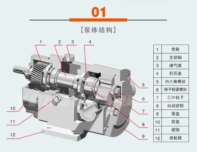 lq3a凸轮转子泵 不锈钢卫生级 高压力 厂家直销供应