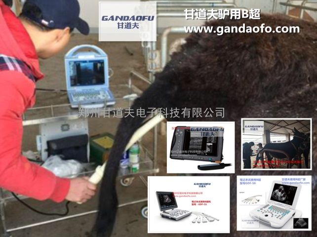 驴用B超品牌厂家,驴用B超生产厂家,母驴B超测孕仪厂家