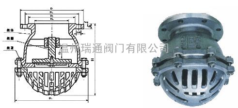 不锈钢法兰底阀结构图