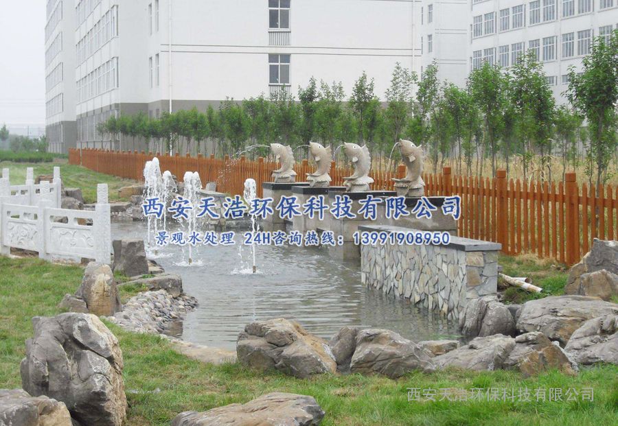 國內別墅家庭景觀魚池水處理凈化解決方案