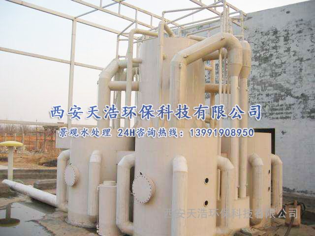 國內別墅家庭景觀魚池水處理凈化解決方案