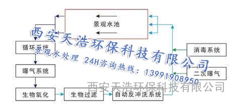 國內別墅家庭景觀魚池水處理凈化解決方案