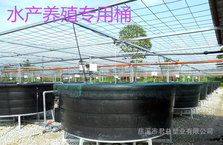 温室养虾桶 1.5吨塑料养殖桶 对虾养殖桶厂家直销