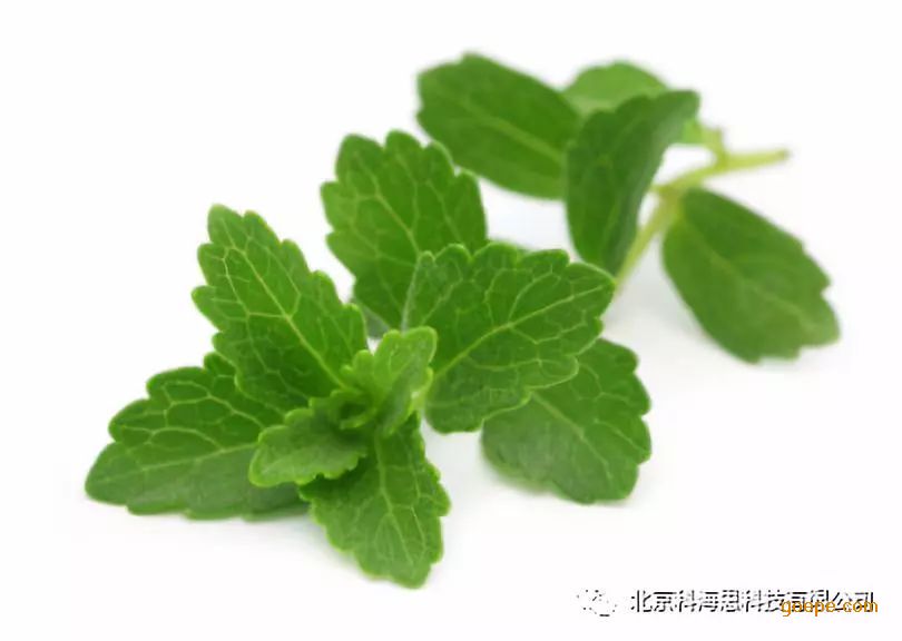 tulsion®ads-750树脂从甜菊叶中提取甜菊糖