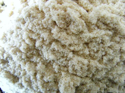 塑木技术中所应用的木粉一般无大的严格要求,各类木