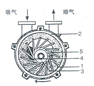 水环真空泵的工作原理