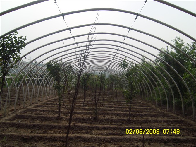 果树育苗大棚骨架机蔬菜大棚 育苗大棚骨架机 产品优势: 新型大棚支架的制做原料是用新型高分子复合材料制造,其特点比现有的竹、木、钢、水泥骨架具有明显的优越性,优势在于: 1、原材料来源广泛,投资小、见效快。 2、环保无污染,是国家重点推广的无公害的环保产品。 3、造价低,每亩仅需1200-2600元。 4、强度高、韧性好,单根支架(直径4cm)能承重100kg。 5、操作简便,规模可大可小,对生产工人文化素质要求不高。 6、技术易保密,一人掌握配方,生产工人很难学会。 7、用途广,该支架可广泛用于蔬菜、育