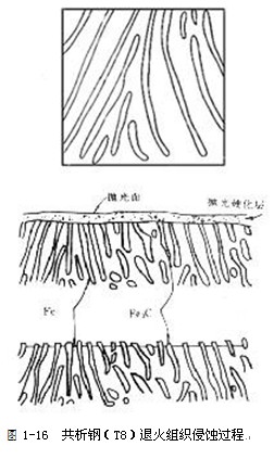 深圳市艾尔玛机电设备有限公司