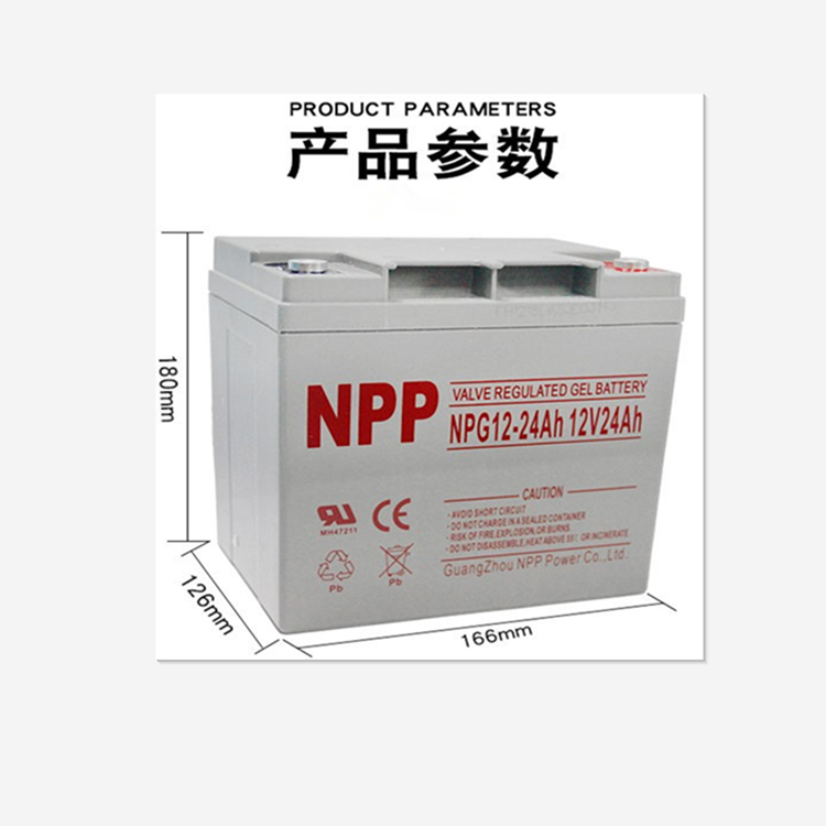 㶫NPPNP12-65/12V65AHʹ˵
