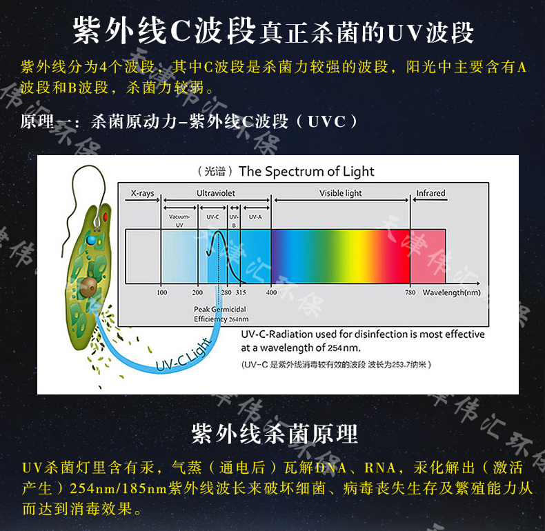 辐照灭菌原理图片