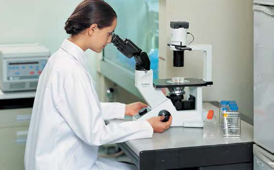 奥林巴斯olympus显微镜ckx41的放大倍数