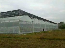 玻璃温室//阳光板智能温室建设