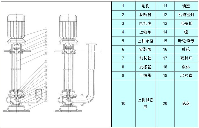 ywp不锈钢双管液下排污泵结构示意图