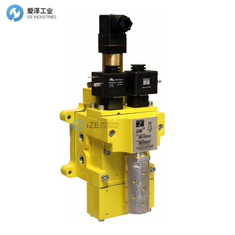 ROSS��DM2CNA42A21