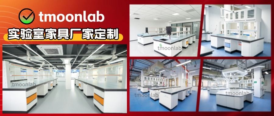 实验台通风柜厂家tmoonlab
