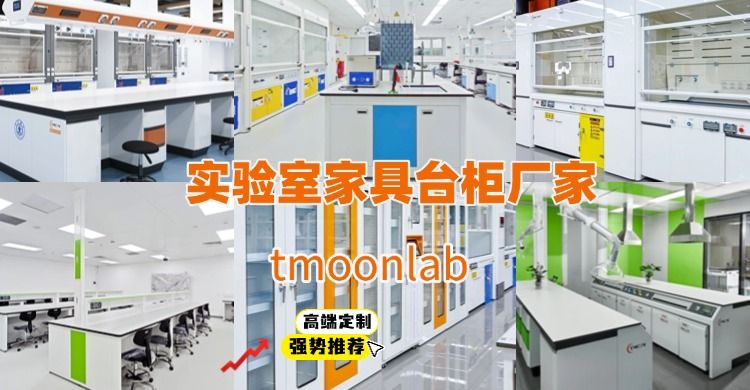 实验台通风柜厂家tmoonlab