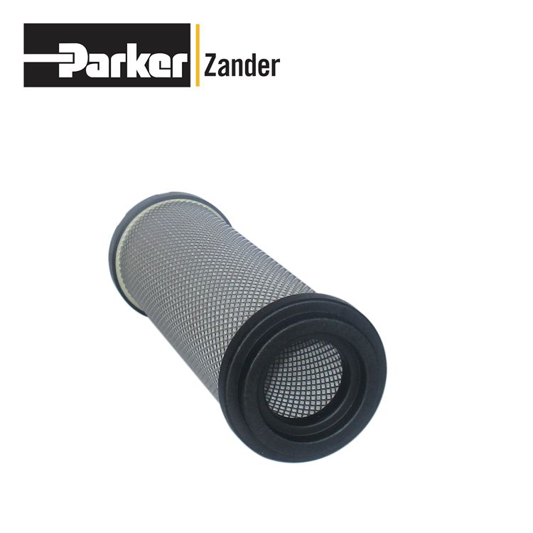 Parkerɿzanderо2020ZP