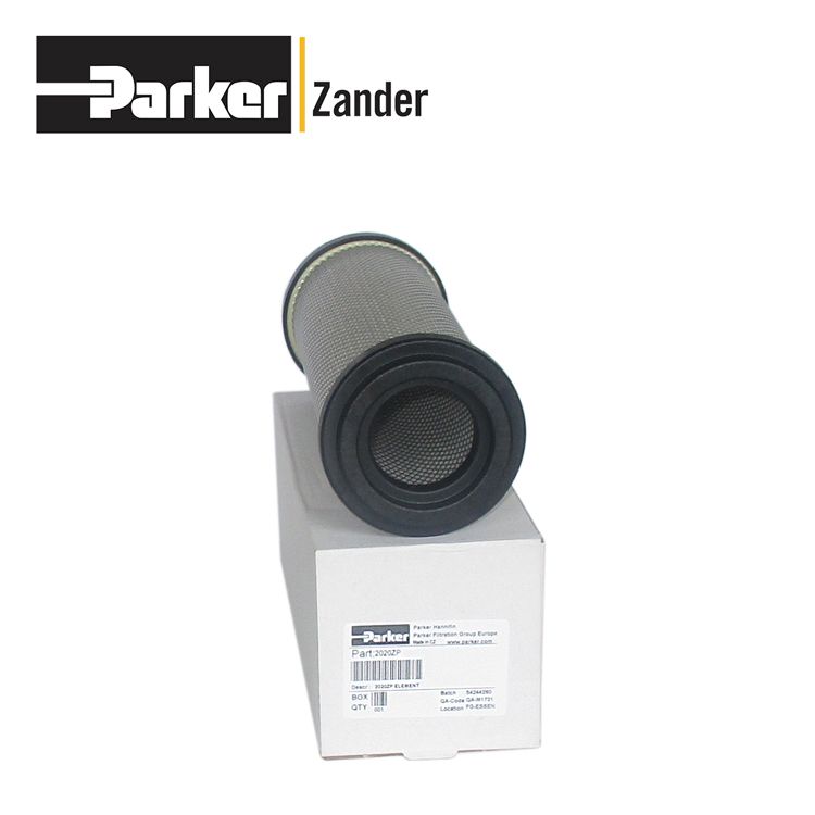 Parkerɿzanderо2020ZP