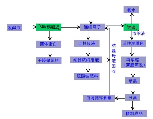 赖氨酸发酵液超滤除杂,纳滤浓缩,连续离交工艺应用