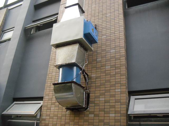 1303783483.jpg