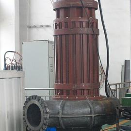 WQ/QW��水污水泵